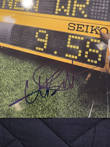 Usain bolt world record - usain,