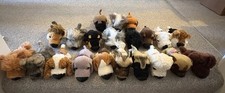 The Dog Artlist Collection X41