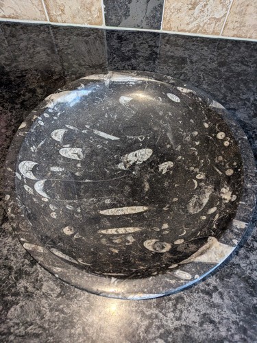 Orthoceras fossil bowl - orthoceras,