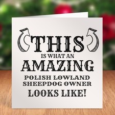 THIS IS WHAT AN AMAZING POLISH