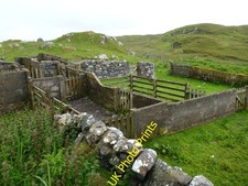 Photo 6x4 Sheep handling and