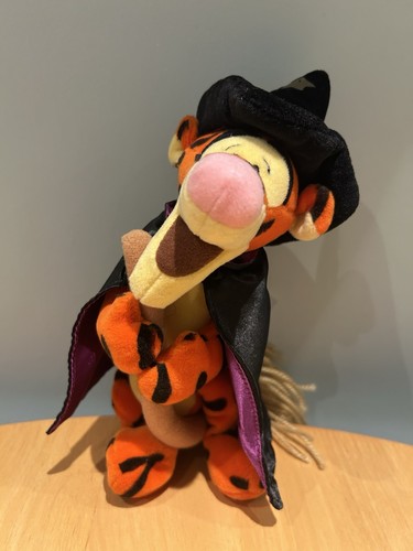 Tigger his broom beanie - on,