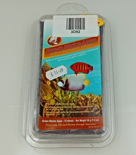 Ocean nutrition brown marine - ocean,