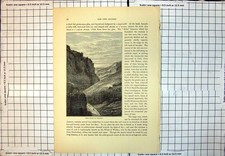 Old High Rocks At Cheddar Cliffsides Man Driving Sheep Vegetation 222J