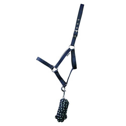 Equestrian synergy head - equestrian,