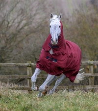 Bucas Freedom Cherry