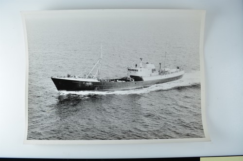 Fishing trawler margat 2910 - margat, b.2910