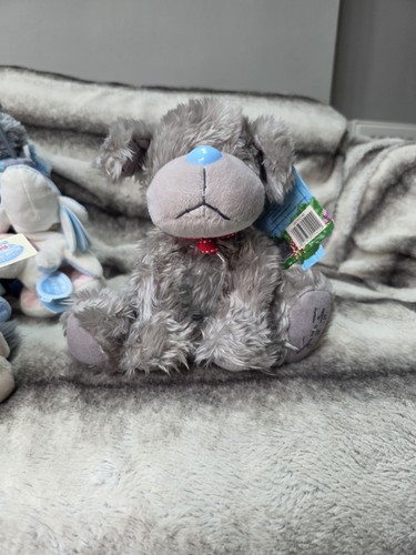 Tatty puppy dog - ,