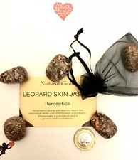 **Lovely Large Leopard Skin