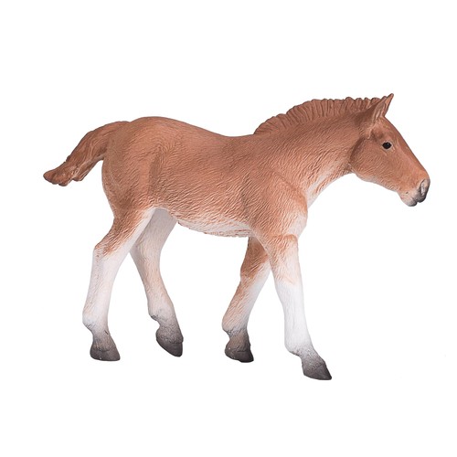 Mojo suffolk punch foal - suffolk, horse