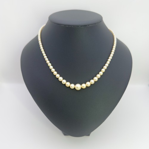 Mikimoto pearl necklace cream - mikimoto,