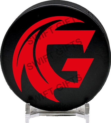 Amiens ice hockey puck 6oz - puck,