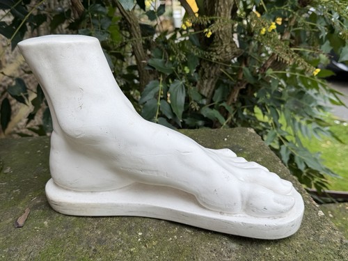 Vintage plaster anatomical - vintage,