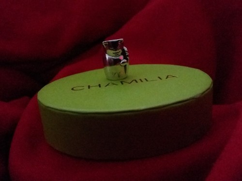 New authentic chamilia cat - authentic,