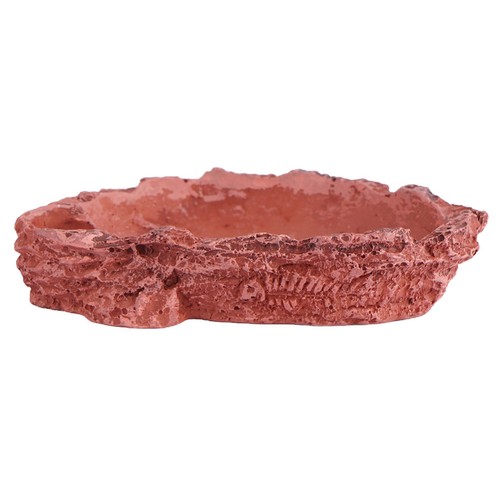 Lizard tank accessories - tank,