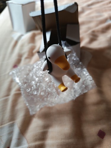 Swinging duck car - duck,