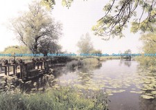 D169854 Dorset. Tranquil View