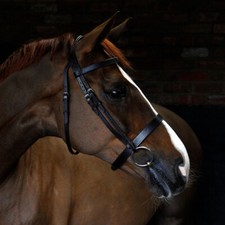 Cottage Craft Cavesson Bridle Brown