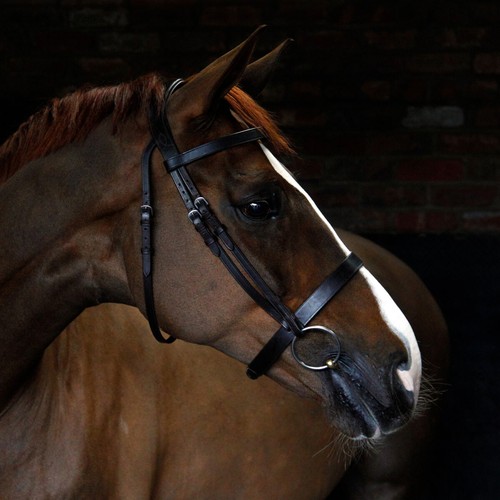 Cottage craft cavesson bridle - cottage,
