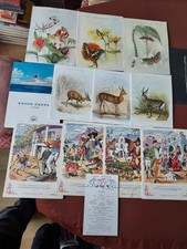 Twelve Union Castle Line