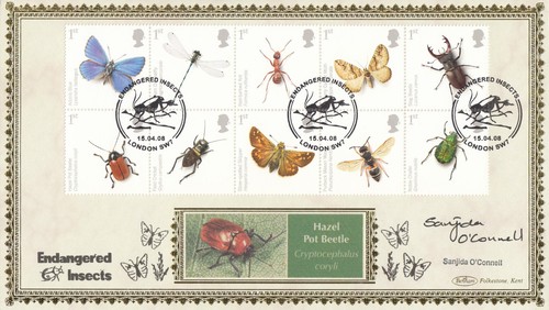 Insects sanjida connell - insects, o'connell