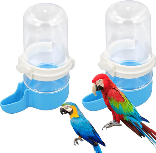 Pcs bird water - bird,