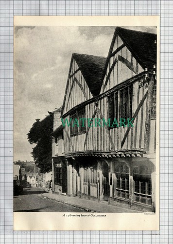 Colchester essex - (6569),