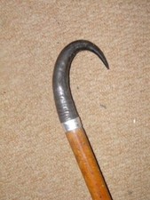 Antique Sibsey Walking Stick W/ Goat Horn Crook & Silver Pres. Collar - 88.5cm
