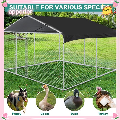 New stock 10x - 10x,