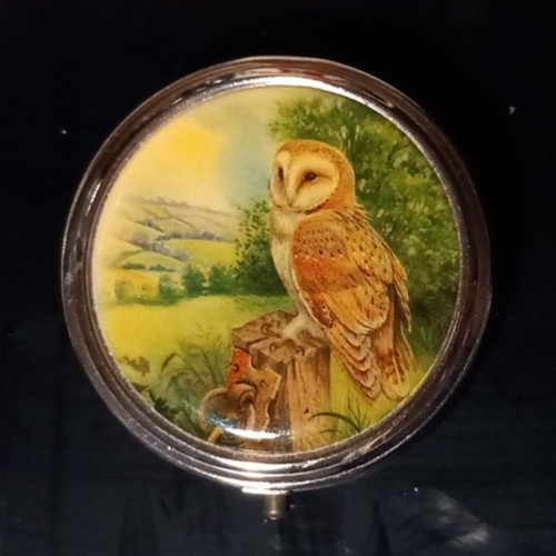 Round barn owl three - round,