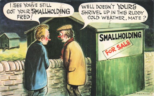 Vintage bamforth comic - bamforth,