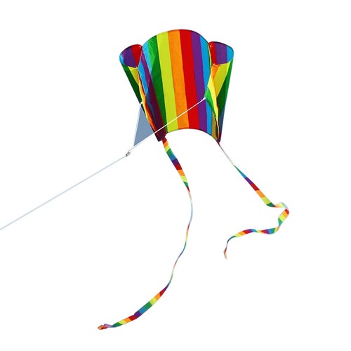 Colorful parafoil long tail - colorful,