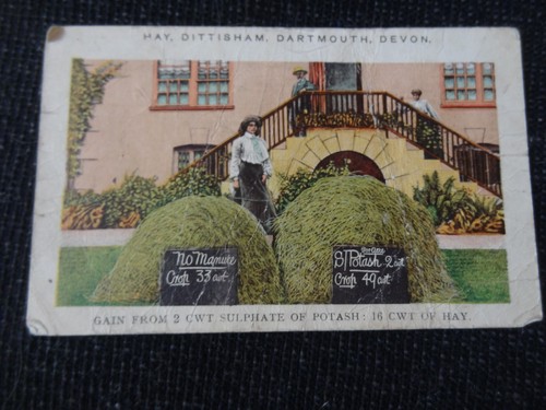 Hay dittisham dartmouth devon - dartmouth,