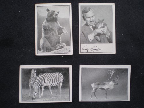 Barratt wild animals - 4,