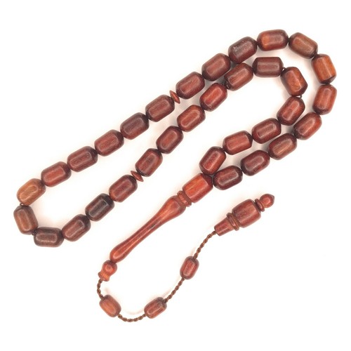 Turkish carob tree - carob,