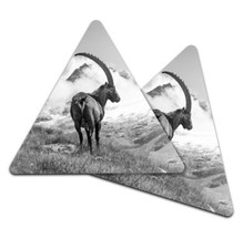 2x Triangle Coaster - BW - Ibex Goat Alpine Mountain Animal #37767