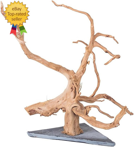 Natural large spider wood - large,
