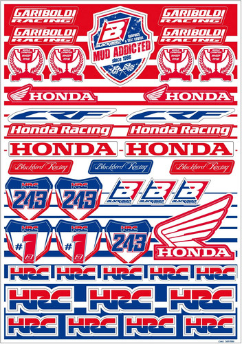 Blackbird racing honda - racing,