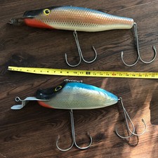 Pair 20” long Northern Pike