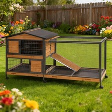 Large Rabbit Hutch Indoor