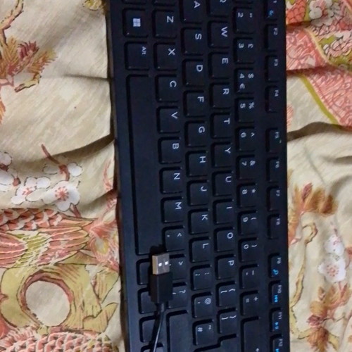 Wired usb dell keyboard - wired,