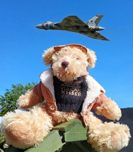 Avro vulcan pilot - avro,