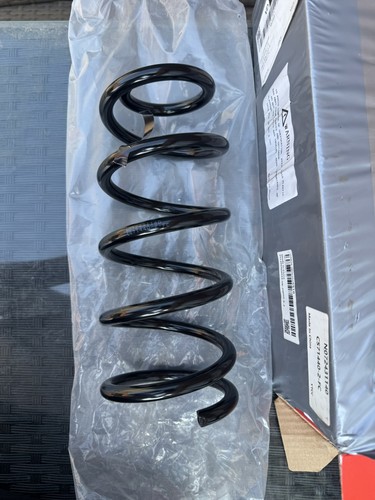 Coil spring rear side - coil,