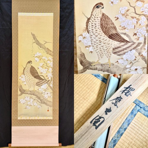 Sasakumo sakura hawk scroll - sasakumo,