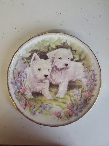 Royal vale collectable - royal,