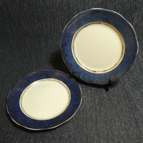 Salisbury fine bone - salisbury, blue
