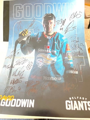 Belfast giants ice hockey - giants,