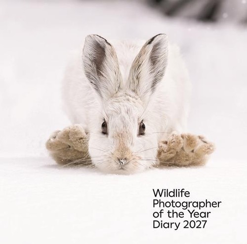 Wildlife photographer the - photographer,