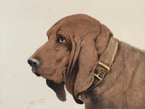 Hunting dog antique - dog,,