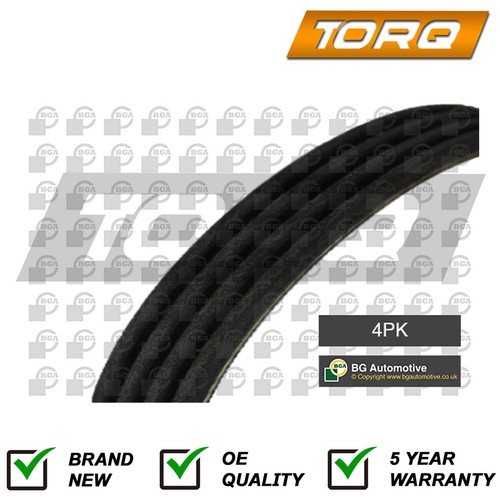 Alternator belt torq fits - belt,